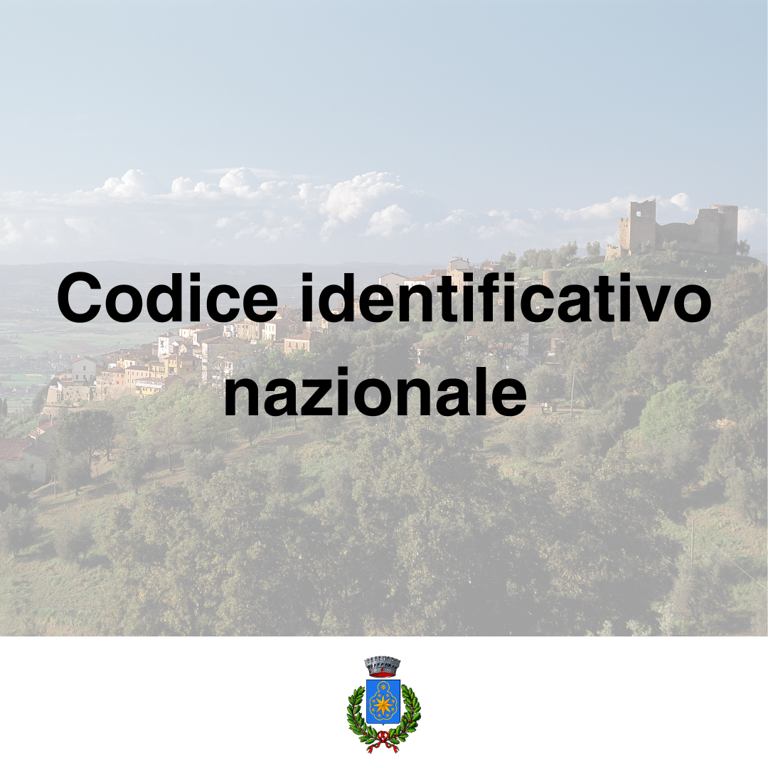 Codice identificativo nazionale 