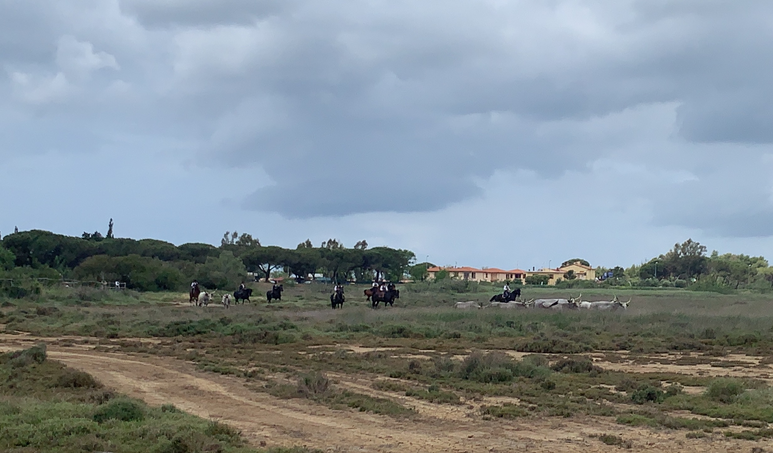 Domenica gratuita dei Musei, apertura del Maps e passeggiata nel Padule