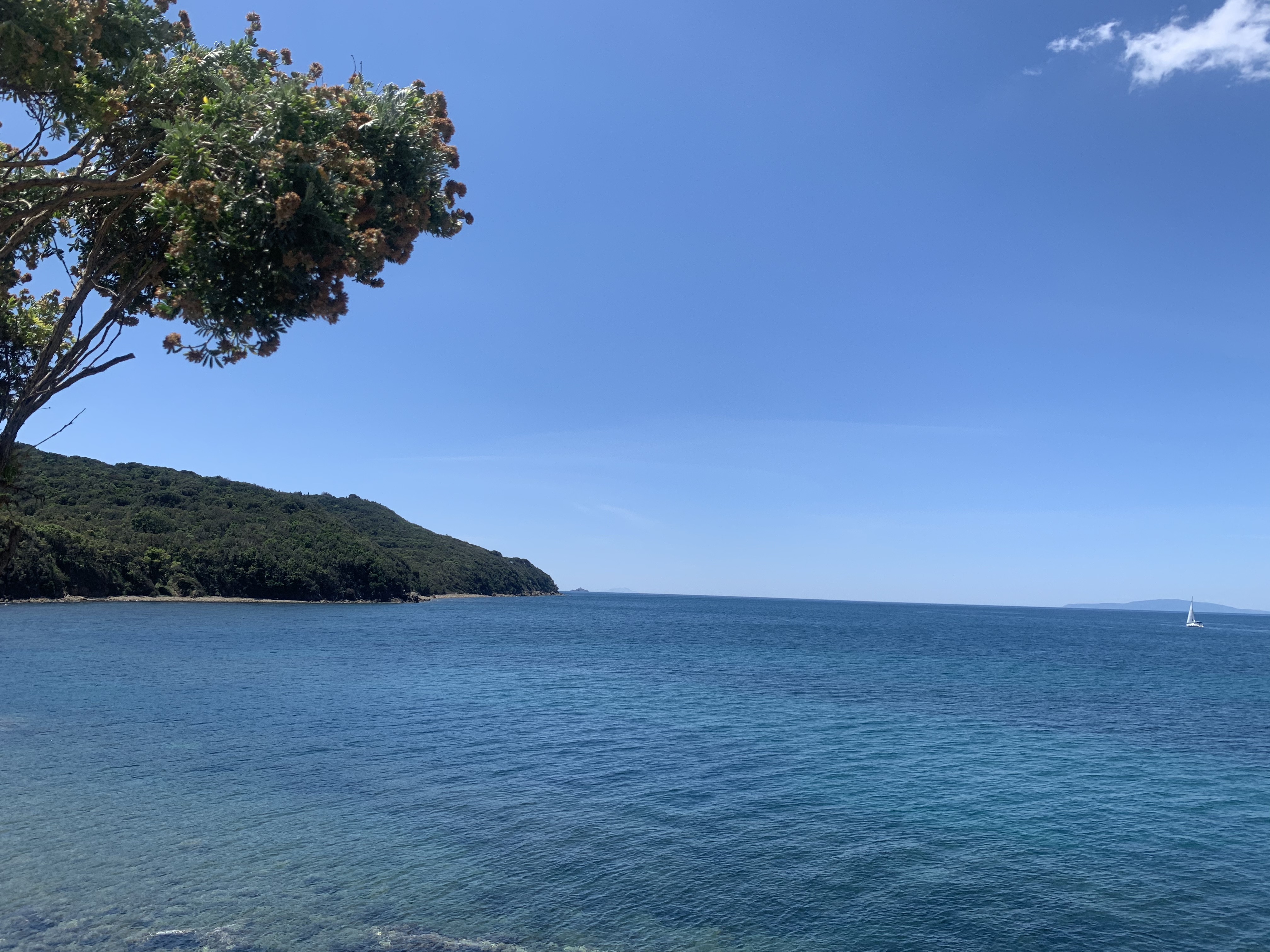 titolo immagine